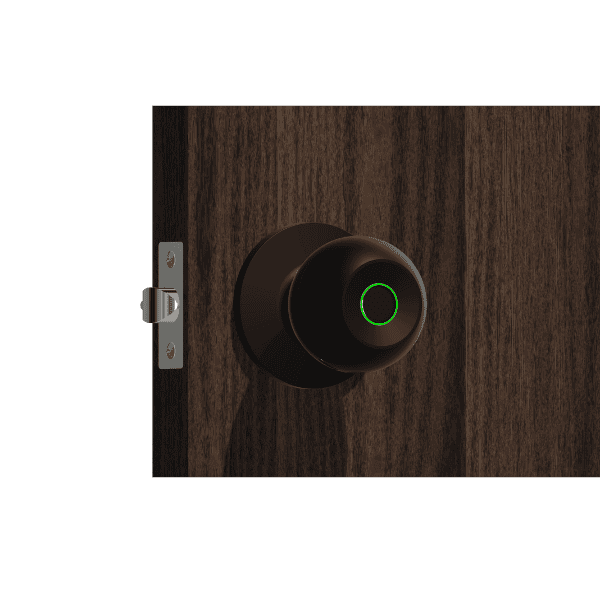 Fingerprint Smart Door Knob - Tuya Black
