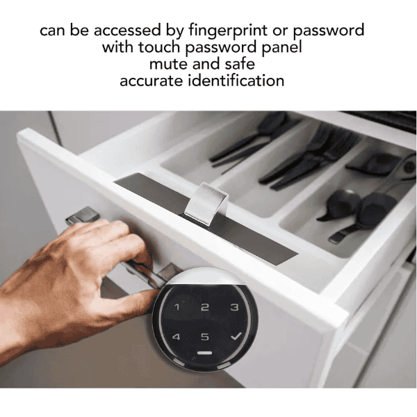 Smart Biometric Cabinet Lock